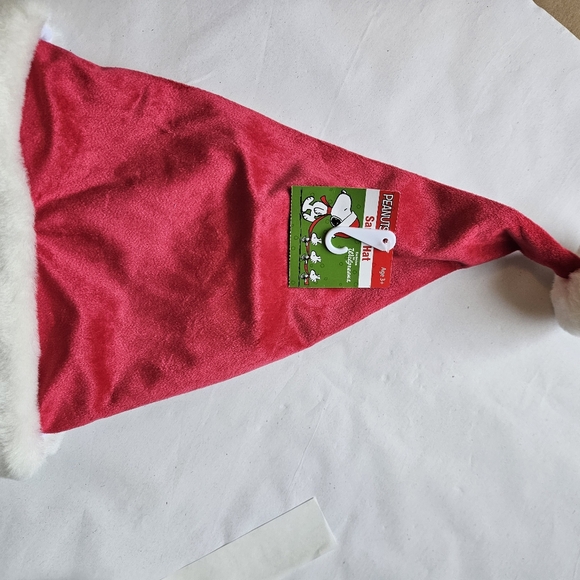 Charlie Brown Christmas Hat - Picture 3 of 7